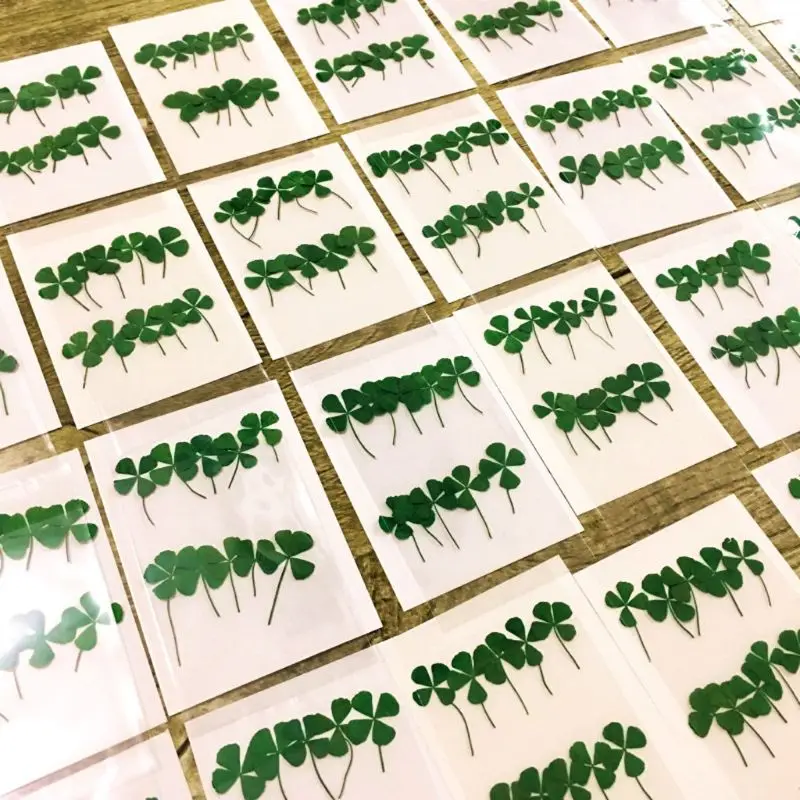 Resin Art Baby - 12 Buah Dekorasi Resin UV Semanggi