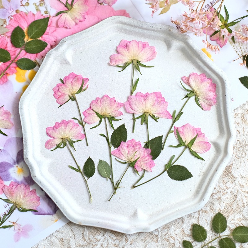 Resin Art Baby - 12pcs, Bunga Kering Asli untuk Casing