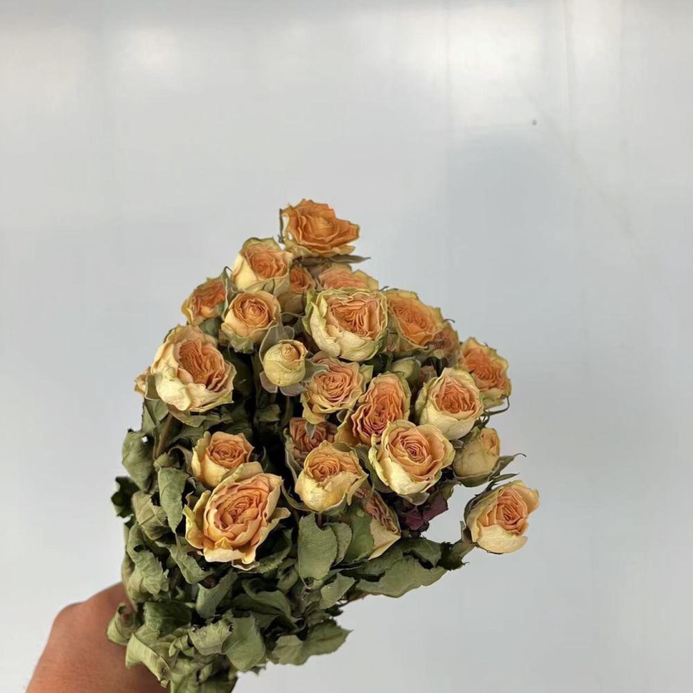 Bunga Mawar Asli yang Diawetka - Resin Art Rose ulasan dan harga