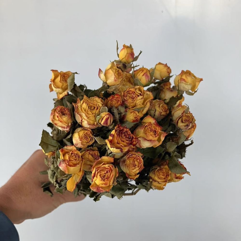 Bunga Mawar Asli yang Diawetka - Resin Art Rose ulasan dan harga