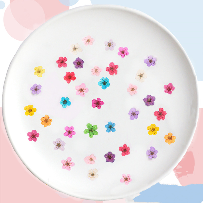 60 Buah Mini Dipencet Kering N - Resin Art Baby ulasan dan harga